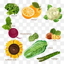 蔬菜大全-空若网 蔬菜大全-空若网