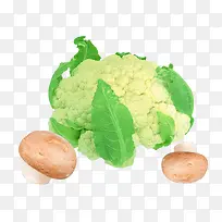 ��ɫ�˻��ز�-������