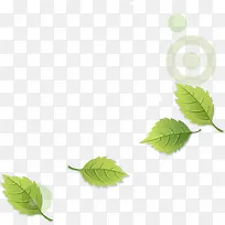 绿色树叶漂浮-空若网 绿色树叶漂浮-空若网
