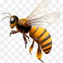 手绘黄蜂-空若网 手绘黄蜂-空若网
