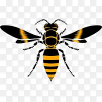 卡通大黄蜂-空若网 卡通大黄蜂-空若网