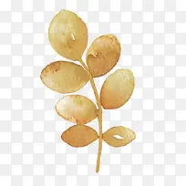 �ֻ�ˮ�ʻ�����Ҷ-������