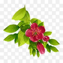 �ֻ�ˮ�ʻ�С�컨-������