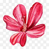 �ֻ�ˮ�ʻ�-������