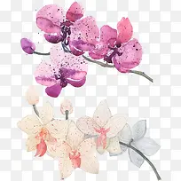 �ֻ�ˮ�ʻ�ޢ��-������