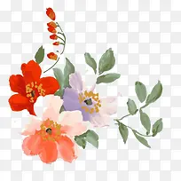 花朵插画-空若网 花朵插画-空若网