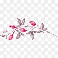 手绘水彩插画花卉-空若网 手绘水彩插画花卉-空若网