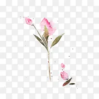 ˮ�ʻ�-������