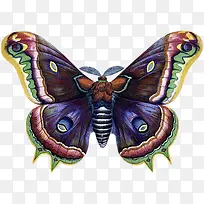 չ��ĺ���-������