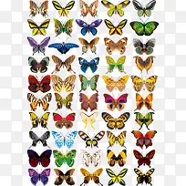 ����-������