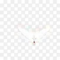 �Ź�-������