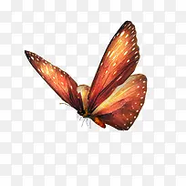 ����Ԫ��-������