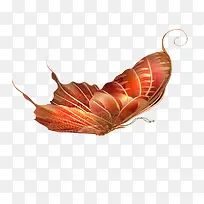 蝴蝶元素-空若网 蝴蝶元素-空若网