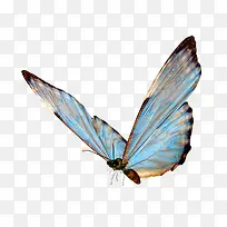 ����Ԫ��-������