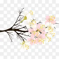 梨花背景PNG矢量元素-空若网 梨花背景PNG矢量元素-空若网