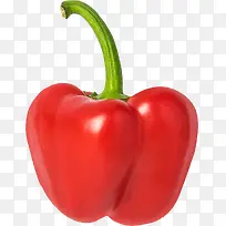 产品实物西红柿-空若网 产品实物西红柿-空若网