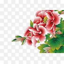手绘牡丹花素材图片-空若网 手绘牡丹花素材图片-空若网
