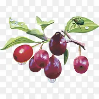 ˮ��ʸ��ͼ���Ѻ���-������