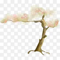 Ë®²ÊСÊ÷-¿ÕÈôÍø Ë®²ÊСÊ÷-¿ÕÈôÍø