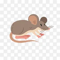 卡通可爱小动物装饰动物头像-空若网 卡通可爱小动物装饰动物头像-空若网