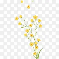 手绘花朵-空若网 手绘花朵-空若网