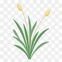 旺财网草-空若网 旺财网草-空若网