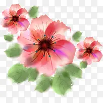 Ë®²Ê»»¨ÎÆËزÄ-¿ÕÈôÍø Ë®²Ê»»¨ÎÆËزÄ-¿ÕÈôÍø