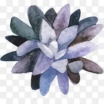 手绘水彩多肉-空若网 手绘水彩多肉-空若网