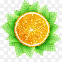 ˮ������ʸ��ͼ-������