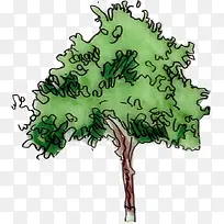简笔画大树-空若网 简笔画大树-空若网
