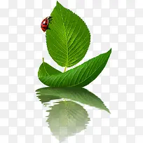 帆船-空若网 帆船-空若网