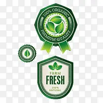 绿色标签-空若网 绿色标签-空若网