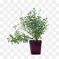 ��β���������-������