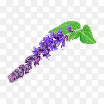 ��β���������-������