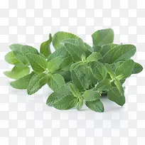 ��β���������-������