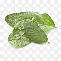 ��β���������-������