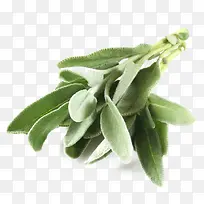 ��β���������-������