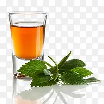 鼠尾草免费下载-空若网 鼠尾草免费下载-空若网