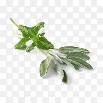 ��β���������-������