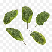 ��β���������-������