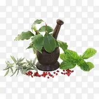 Êóβ²ÝÃâ·ÑÏÂÔØ-¿ÕÈôÍø Êóβ²ÝÃâ·ÑÏÂÔØ-¿ÕÈôÍø