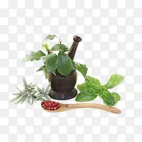 Êóβ²ÝÃâ·ÑÏÂÔØ-¿ÕÈôÍø Êóβ²ÝÃâ·ÑÏÂÔØ-¿ÕÈôÍø