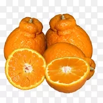 �̽�-������