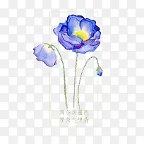 虞美人-空若网 虞美人-空若网