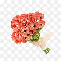 橙色虞美人-空若网 橙色虞美人-空若网