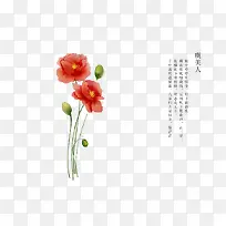 手绘花卉-空若网 手绘花卉-空若网