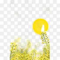 �����ɰ��Ͳ˻�װ�α߿�-������