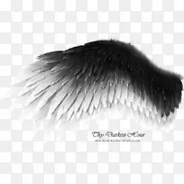 艺术翅膀艺术-天使翅膀-空若网 艺术翅膀艺术-天使翅膀-空若网