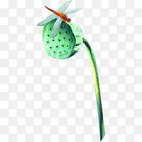 创意摄影在池塘上停留的蜻蜓-空若网 创意摄影在池塘上停留的蜻蜓-空若网