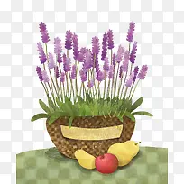 瓶子薰衣草手绘插画-空若网 瓶子薰衣草手绘插画-空若网